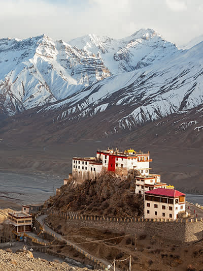 Travel Agency Contact